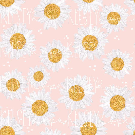 Daisies - pink